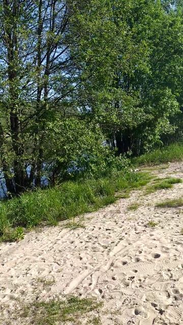 Лесное озеро (г. Брянск, д. Толвинка, ЖК Подмосковье) смотреть онлайн