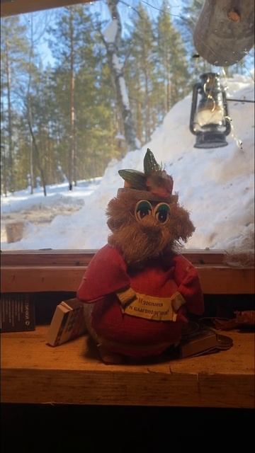 Суровая лесная жизнь #survival #bushcraft #nature #землянка #cabin #dugou смотреть онлайн