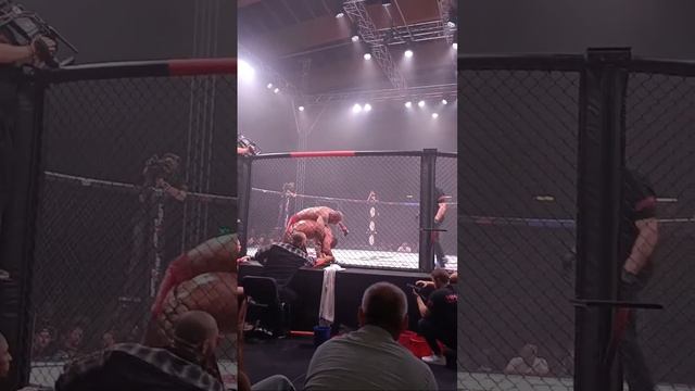 Мма тяжелый вес в прямом эфире! смотреть онлайн