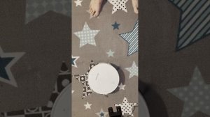 Робот пылесос