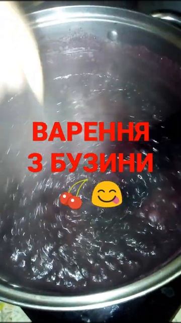 ВАРЕННЯ З БУЗИНИ ЧОРНОЇ 🍒😋. #Shorts #Варення_з_Бузин? смотреть онлайн