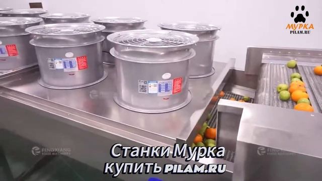 Мурка Автоматический станок для бланширования фрукто смотреть онлайн