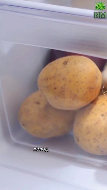 Продукты которые нельзя хранить в холодильнике #здоро смотреть онлайн