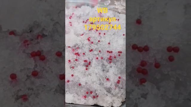 #стратификациясемян #землянка  #семена #wb