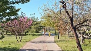 Парк Победы Севастополь