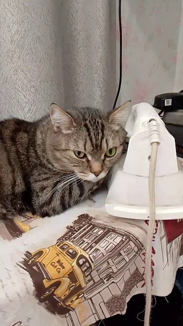 Пающие утюги смотреть онлайн