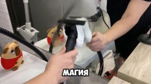 Испытываю 7 чувств чистоты! Обзор на вертикальный паро