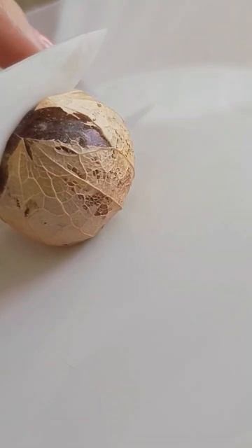 Овощной или декоративный физалис Кто знает -напишите ? смотреть онлайн