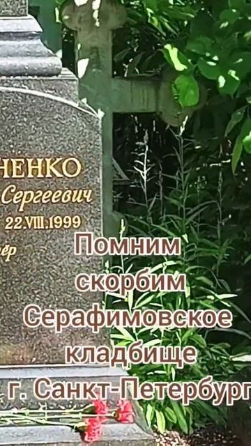 Могила знаменитого Шурика. Александр Демьяненко. Помним. Скорбим. #санктпетербург #2023 #шурик смотреть онлайн