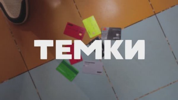 ТЕМКИ /1 серия/