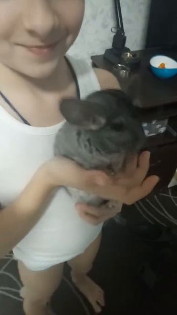 Шила смотреть онлайн