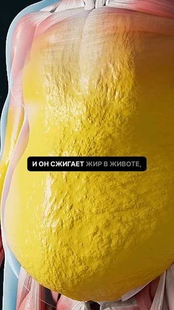 Как убрать жир только в проблемных местах #диета #пп #з? смотреть онлайн