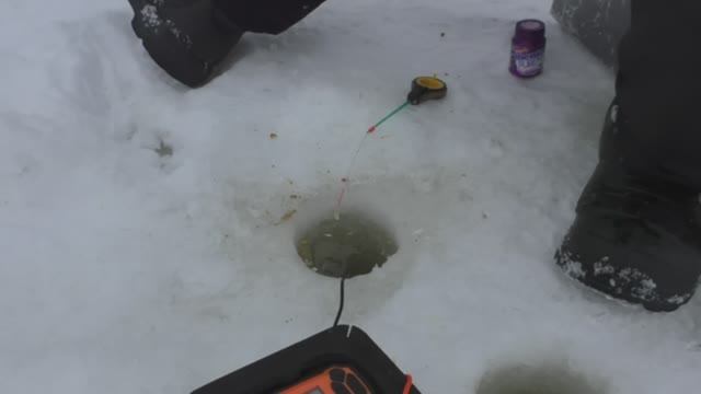 ПОПАЛИ НА СЛОМ ПОГОДЫ. ПЛОТВА ВСТАЛА В ОЧЕРЕДЬ. МОРМЫШКА УШЛА В ЛУНКУ смотреть онлайн