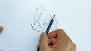 Drawing a tree 🌳 Как нарисовать дерево | Tabiat rasmini chizish. Расми дарахт