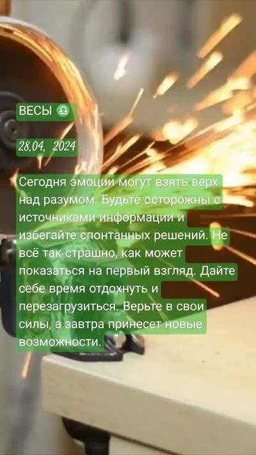 ВЕСЫ ♎ 28, 2024 Сегодня эмоции могут взять верх над разум? смотреть онлайн