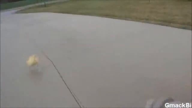 + 100500 НОВЫЙ ПРИКОЛ!/FAIL 2013 ХА, ДЕВКУ ПРОСТО ВБИЛО В КРЕСЛО, НОВЫЙ ПРИКОЛ смотреть онлайн