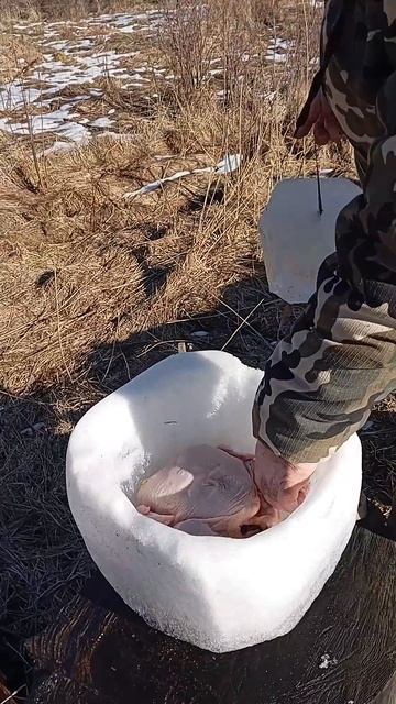 Походный морозильник #рекомендации #тикток #shorts смотреть онлайн