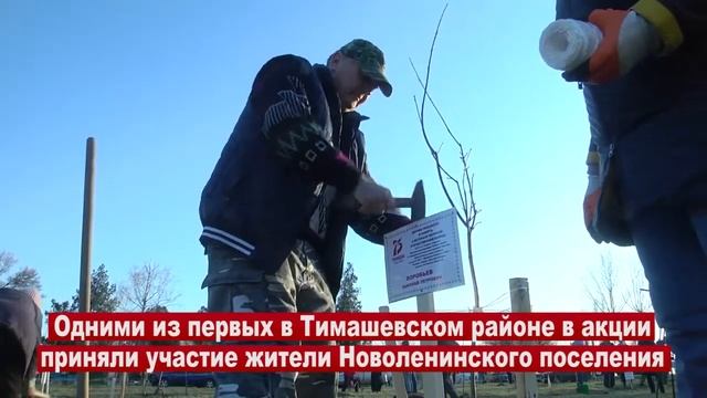 Посадка деревьев смотреть онлайн