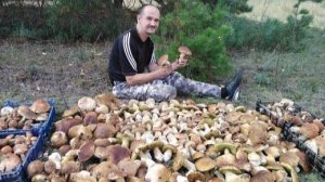 ШОК!!! Повсюду белый гриб ступить некуда!!! Часть3