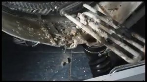 Calgon Реклама