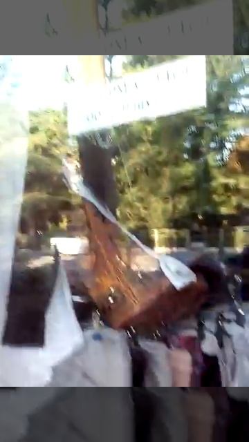 Павильон 47 торговый ряд платановая аллея Лазаревский смотреть онлайн