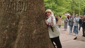 Беловежская пуща. Национальный парк - заповедник