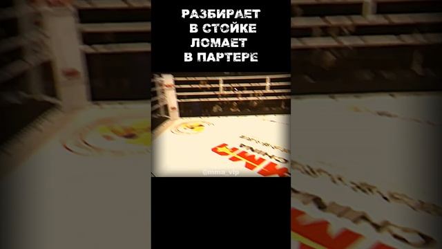 🔥🔥🔥 НУРМАГОМЕДОВ УМАР | UMAR NURMAGOMEDOV #mma #ufc смотреть онлайн