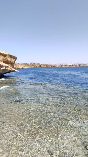 Здравствуй тёплое Красное море! смотреть онлайн