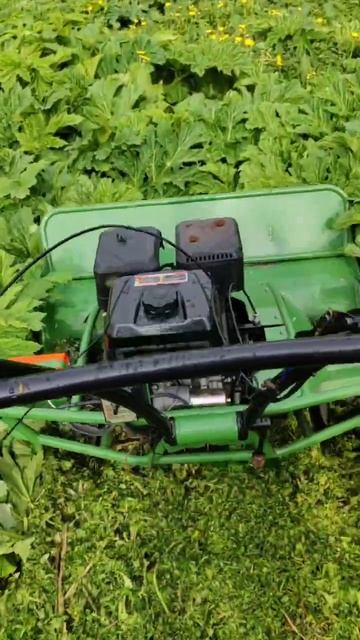 Уничтожение борщевика! (видос от клиента)