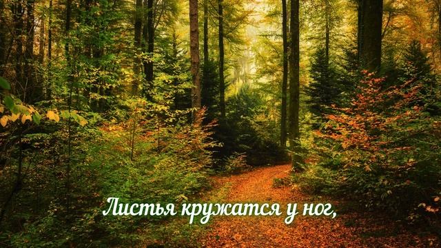 Фет А.А. Ель рукавом мне тропинку завесила… смотреть онлайн