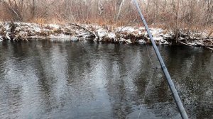 Хариус на МУШКУ/Рыбалка на вкусную рыбу Хариус.