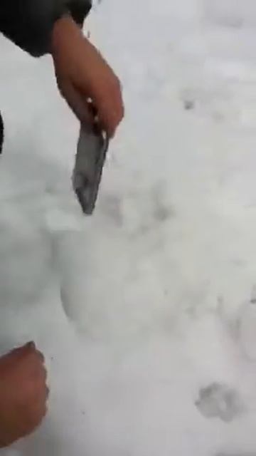 Гопяры нашли телефон смотреть онлайн