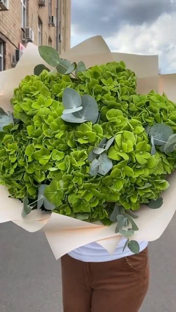 7 гортензий Дарк грин с эвкалиптом #гортензия смотреть онлайн