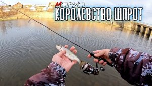 Королевство ШПРОТ. Ловля ЕЛЬЦА и ПЛОТВЫ спиннингом. Мормышинг Наноджиг Ультралайт