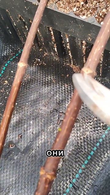 9 апреля 2024 г.