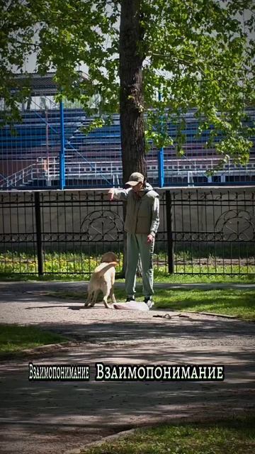 Взаимопонимание 😁 смотреть онлайн