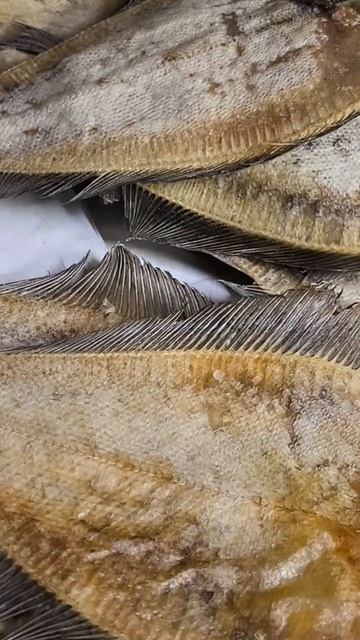 Вяленый камбала-ёрш маленький размер отправляю в пода смотреть онлайн