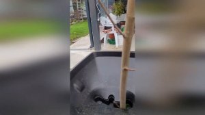 Измельчитель садовый электрический GreenWorks GW-2800SD