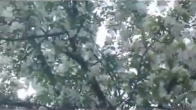 Леночка,с днём рождения!!! смотреть онлайн