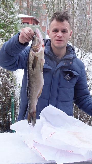 Копчёный Судак ! #судак #копчение #вкусно #гриль #рецепт смотреть онлайн