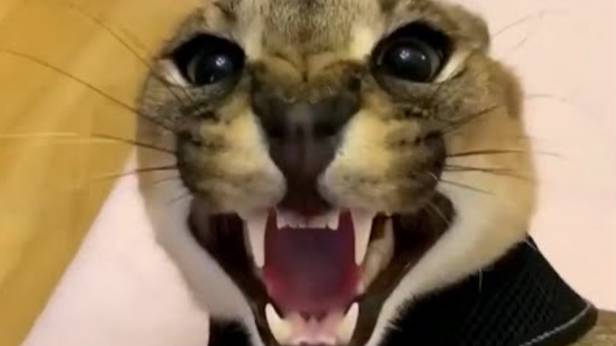 Когда хакер встречает другого хакера _ Beluga [Русская озвучка] смотреть онлайн