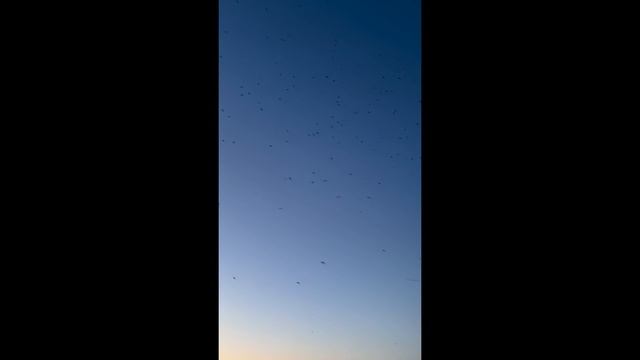 Звуки Казани, 80 лет Победы | Эглет