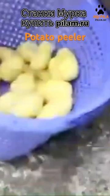Мурка Станок для мытья и очистки картофеля FX купить на смотреть онлайн