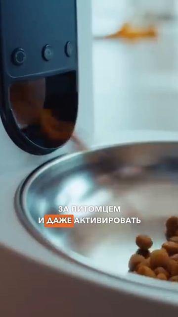 Этот колобок захватит твой дом 🤭 #youtubeshorts #shortvideo #shorts #? смотреть онлайн