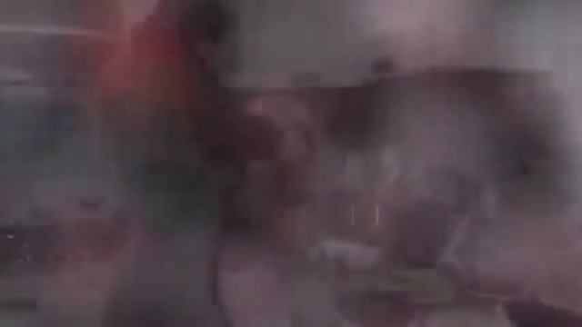 Делаем мороженое с сокопрессом от Zepter смотреть онлайн