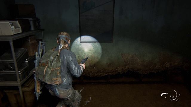 ALeXXX_Doma InGame: The Last of Us Part II Remastered # 17