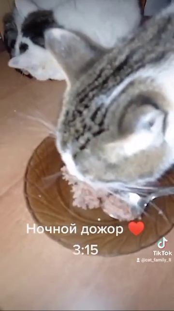 Ночные посиделки возле холодильника смотреть онлайн