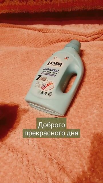 25 октября 2024 г. смотреть онлайн