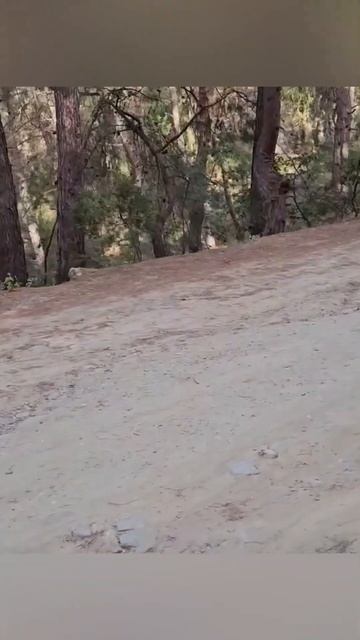 Сколько стоил 9 лет назад баллон воды 19 литров в Турции смотреть онлайн