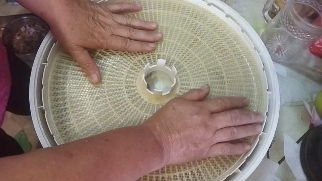 Лук репчатый шинкую для сушки в сушилке Вальтера 1000 л? смотреть онлайн